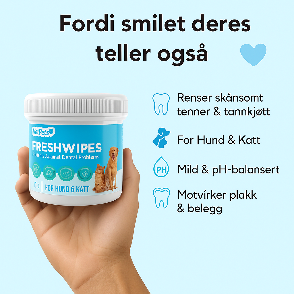 FreshWipes Kit – Beskytter mot tannsykdommer