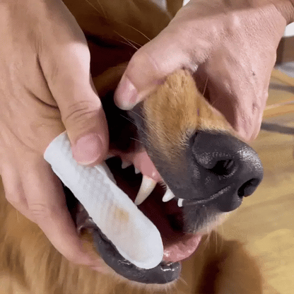 FreshWipes Kit – Beskytter mot tannsykdommer