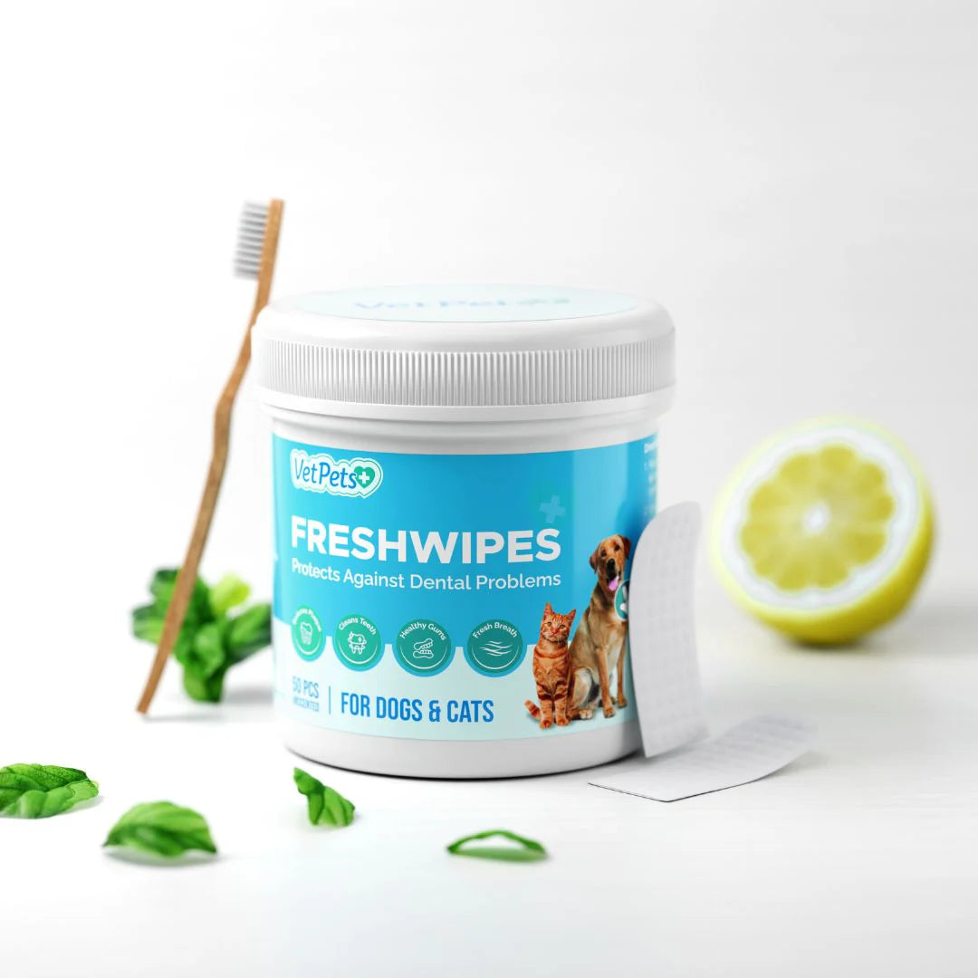 FreshWipes Kit – Beskytter mot tannsykdommer