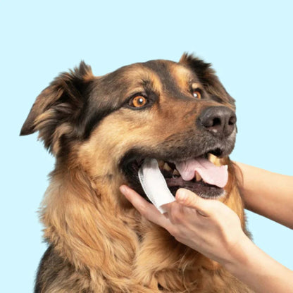 FreshWipes Kit – Beskytter mot tannsykdommer